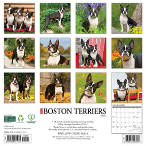 2025 Boston Terriers Calendar