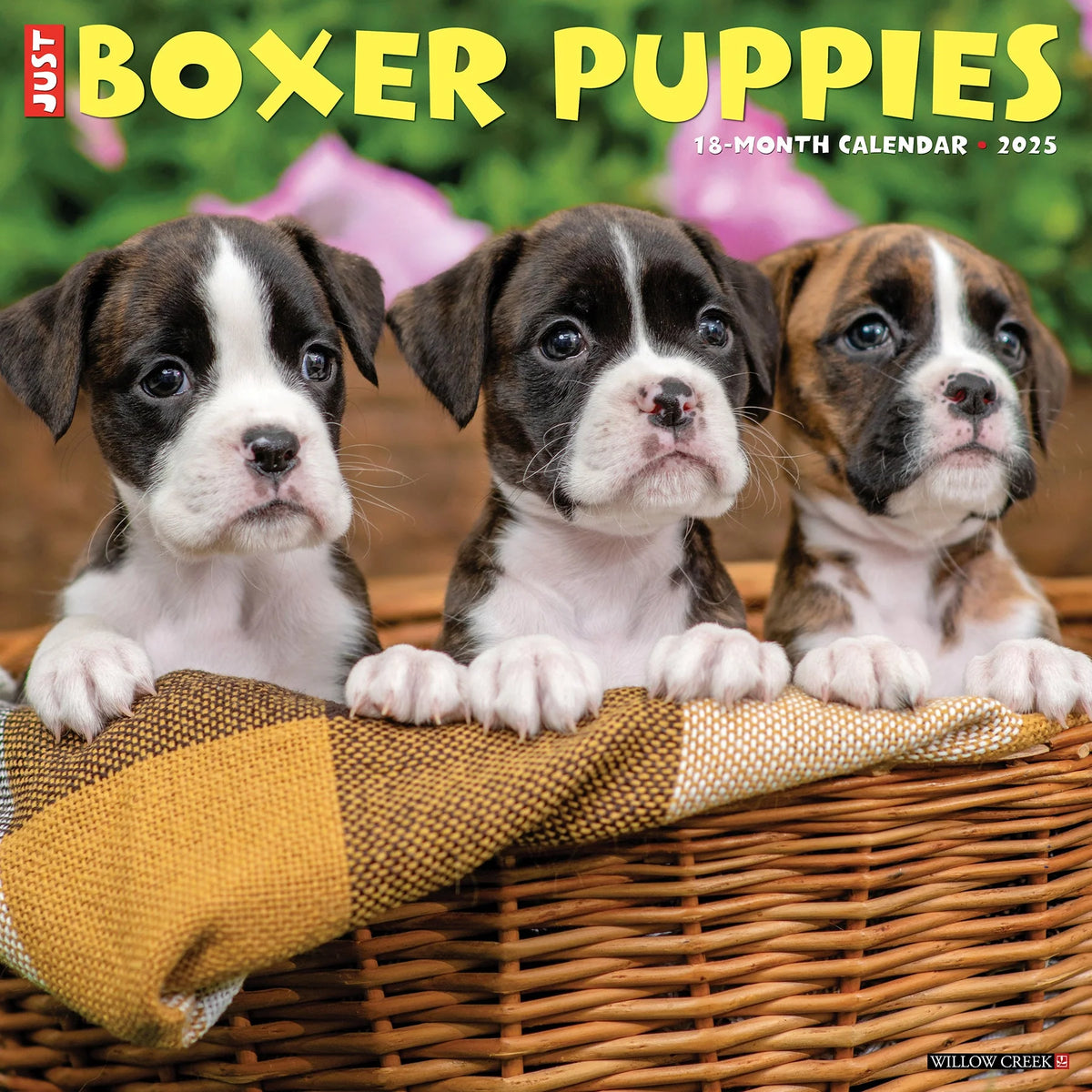 2025 Boxer Puppies Calendar