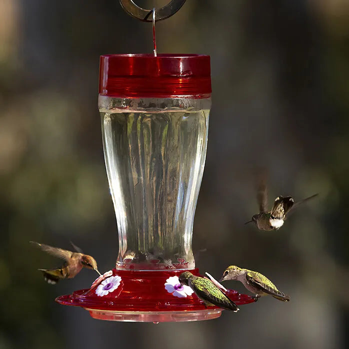 More Birds - Hummingbird Feeder Big Gulp