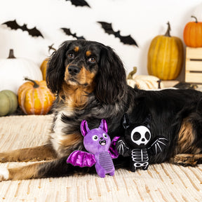 Petshop by Fringe Studio - Dog Toy Bat to the Bone