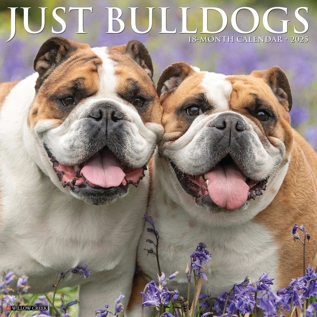 2025 Bulldogs Calendar