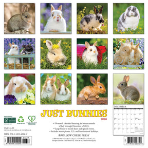 2025 Bunnies Calendar