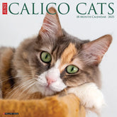 2025 Calico Cats Calendar