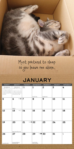 2025 Cat In Box Calendar