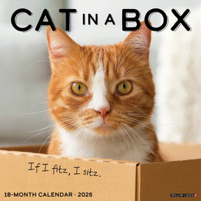 2025 Cat In Box Calendar