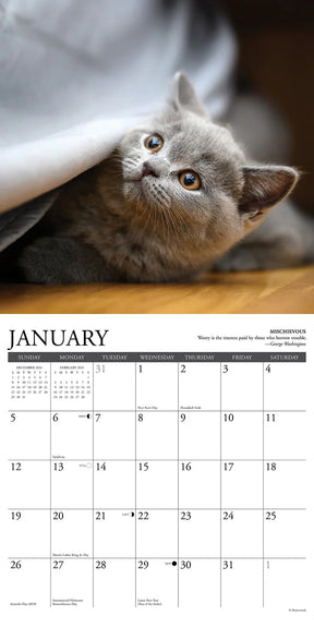 2025 Cat Rules Calendar