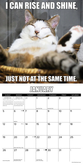 2025 Cat-astrophe Calendar