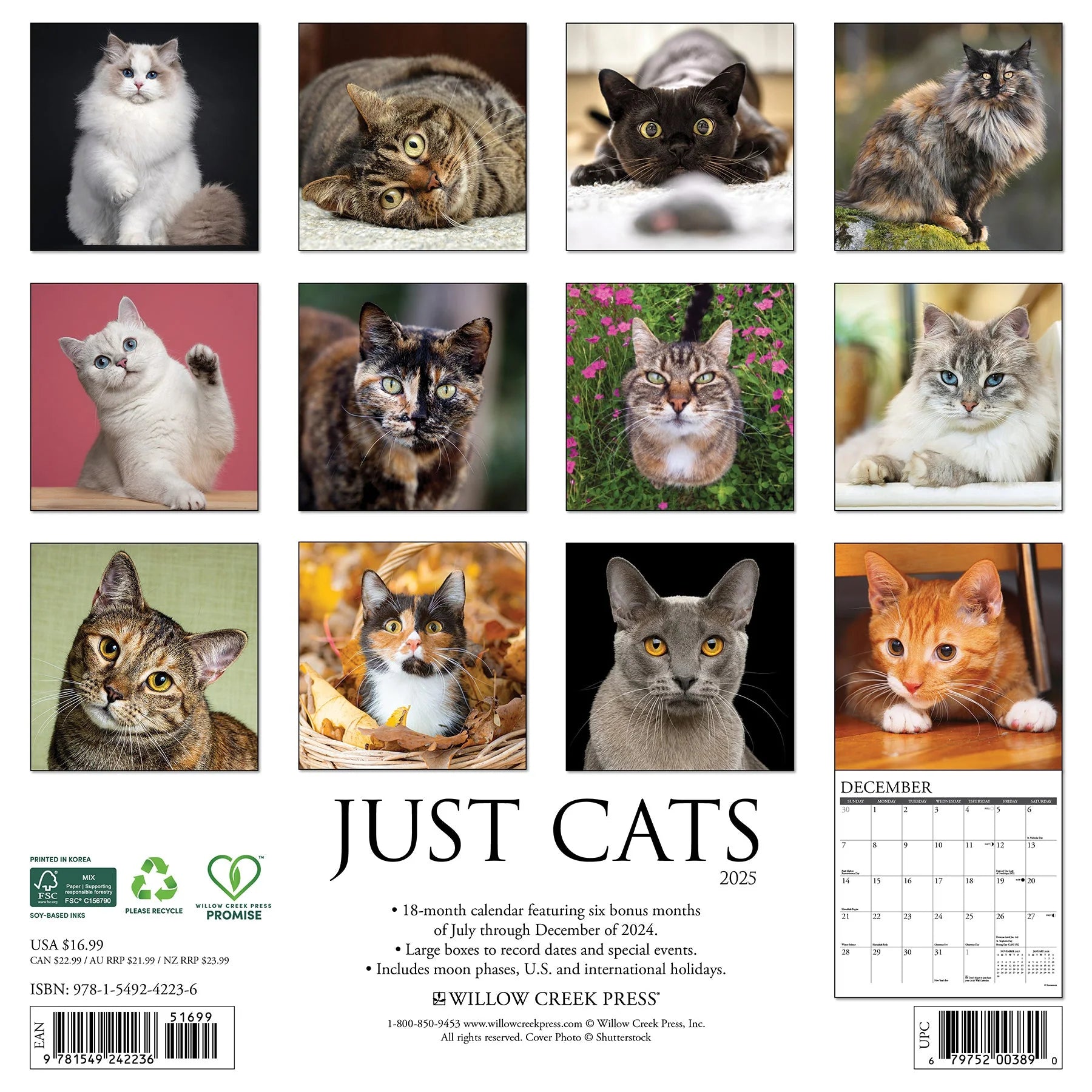 2025 Cats Calendar