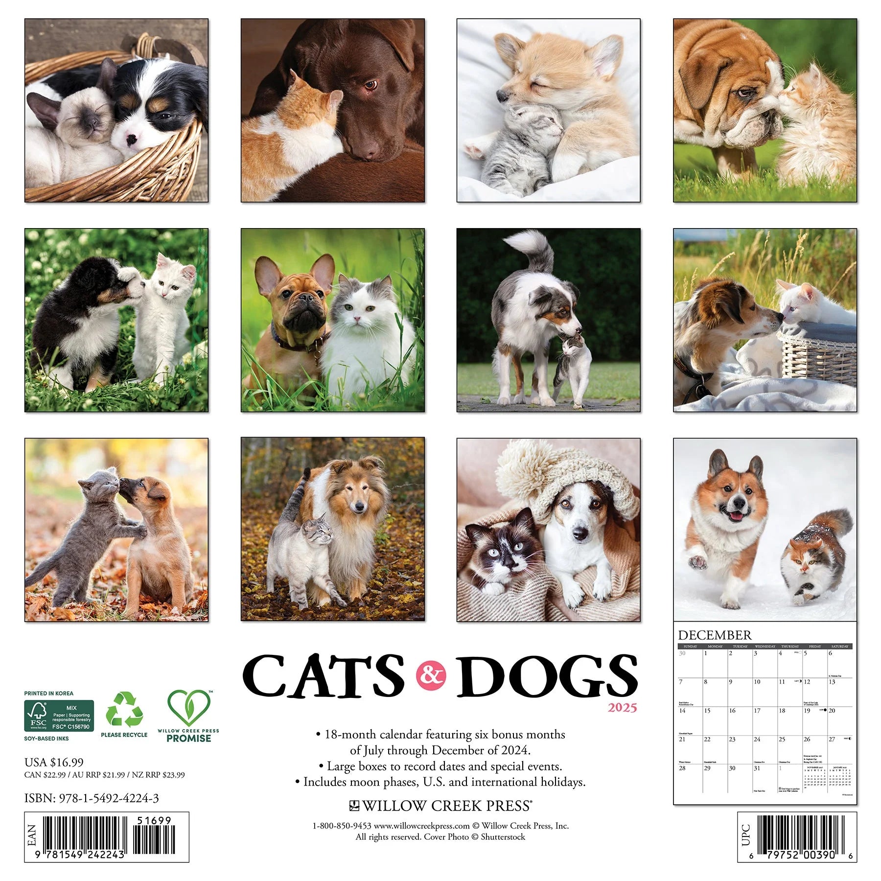 2025 Cats & Dogs Calendar