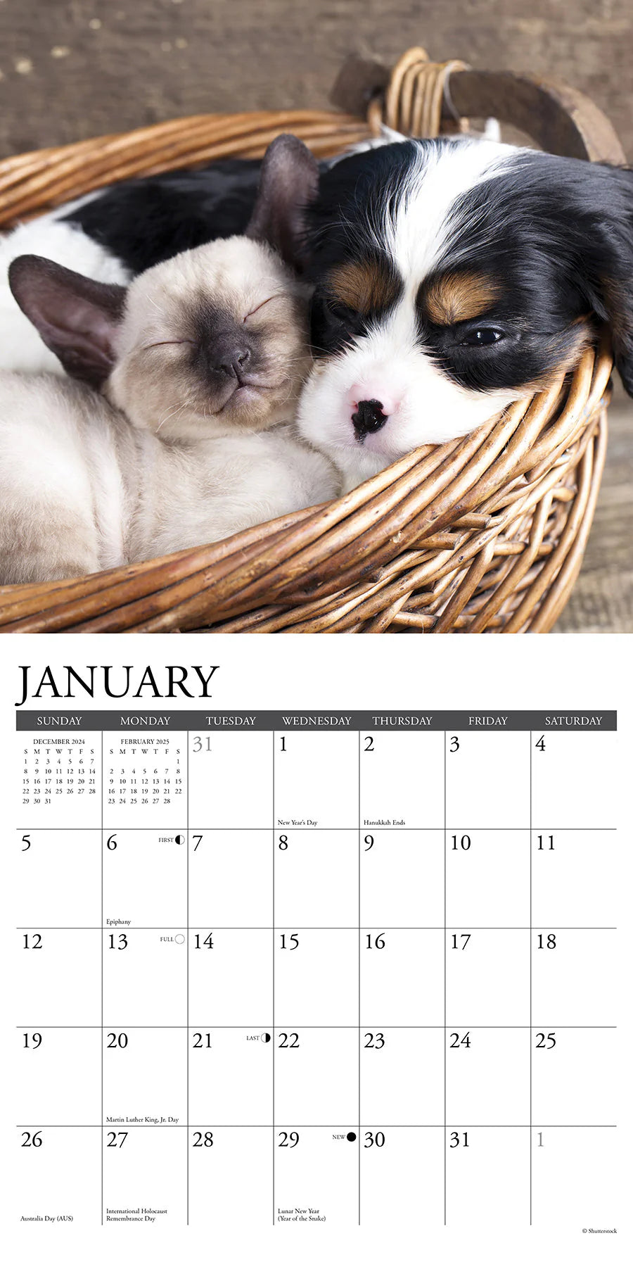 2025 Cats & Dogs Calendar