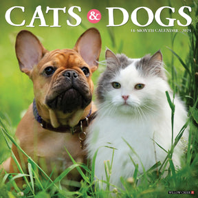 2025 Cats & Dogs Calendar