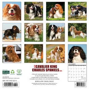 2025 Cavalier King Charles Spaniels Calendar