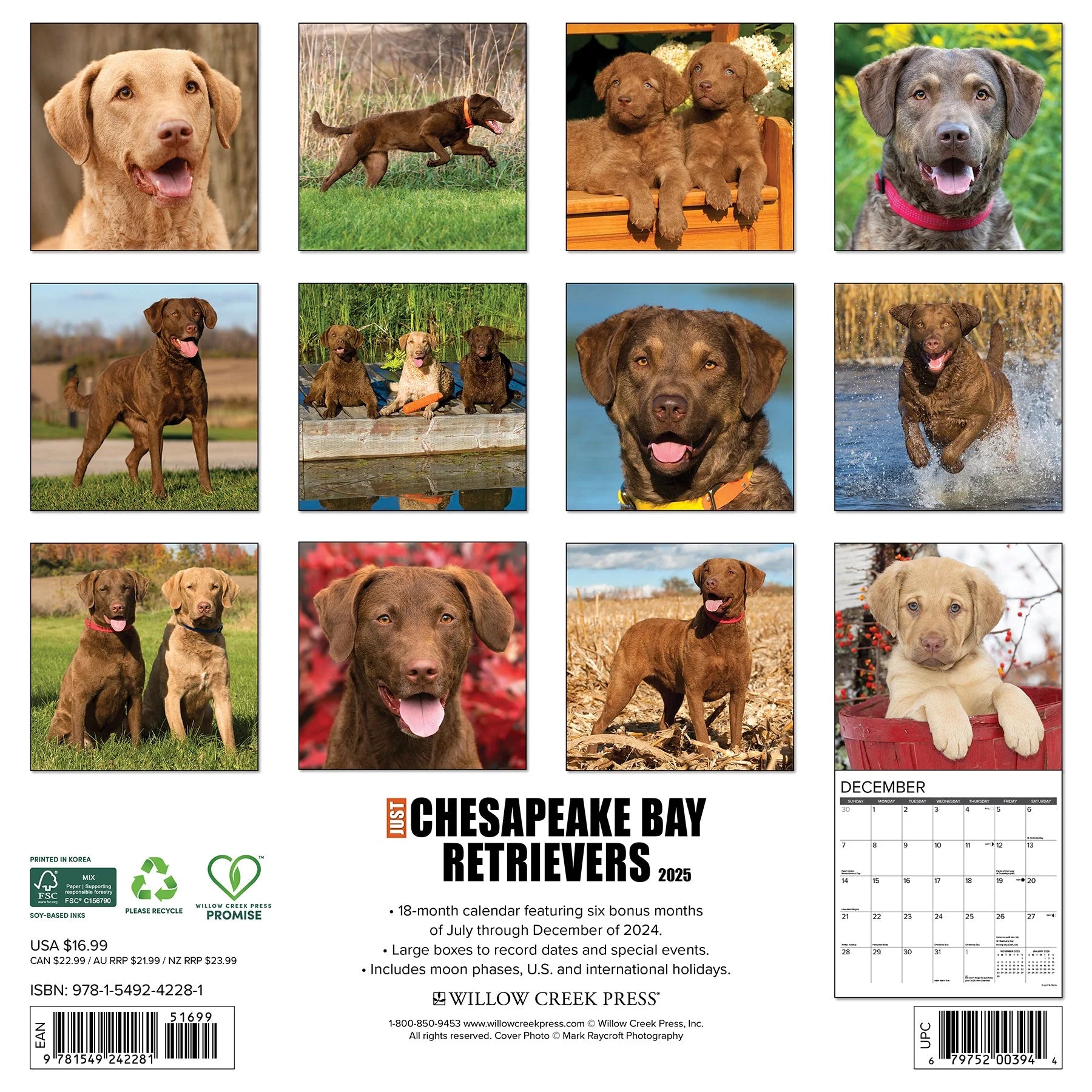 2025 Chesapeake Bay Retrievers Calendar