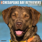 2025 Chesapeake Bay Retrievers Calendar