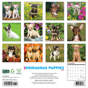 2025 Chihuahua Puppies Calendar