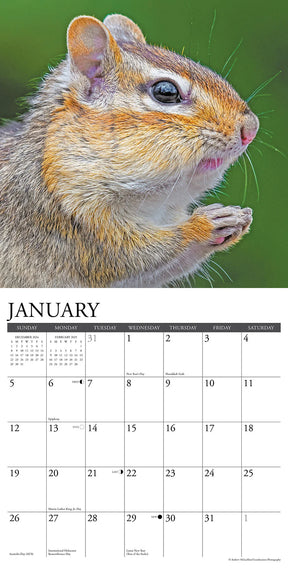 2025 Chipmunks Gone Nuts! Calendar