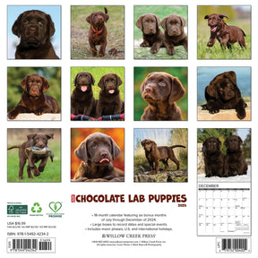 2025 Chocolate Lab Puppies Calendar