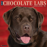 2025 Labs Chocolate Calendar