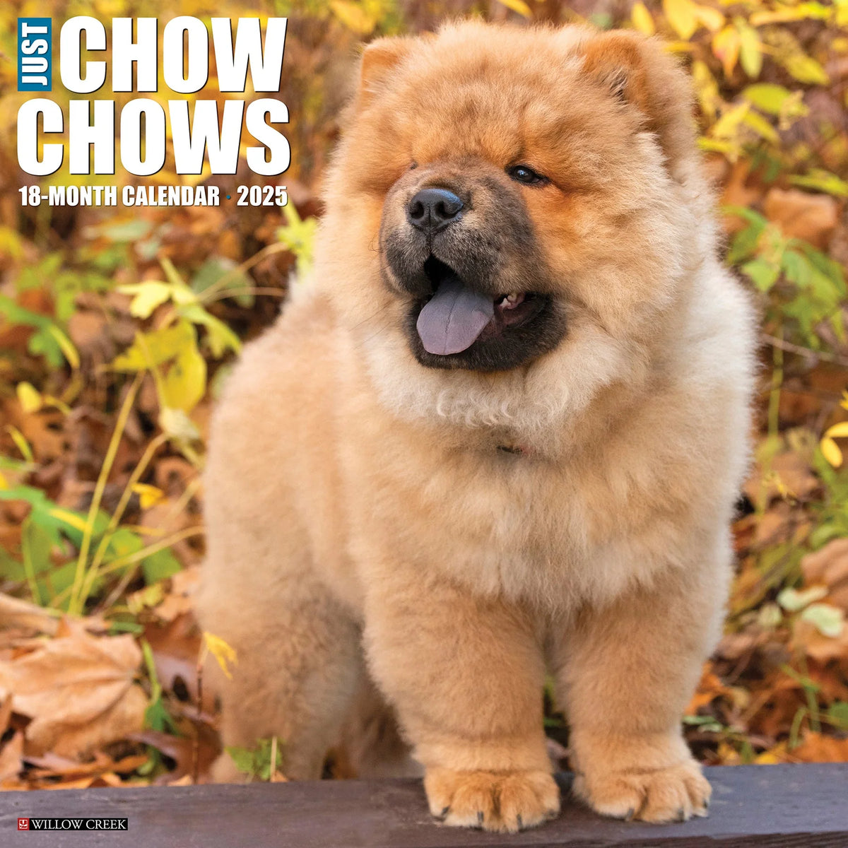 2025 Chow Chows Calendar