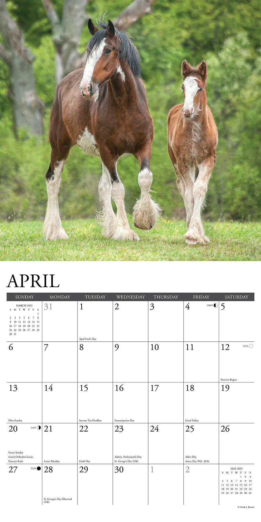 2025 Clydesdales Calendar