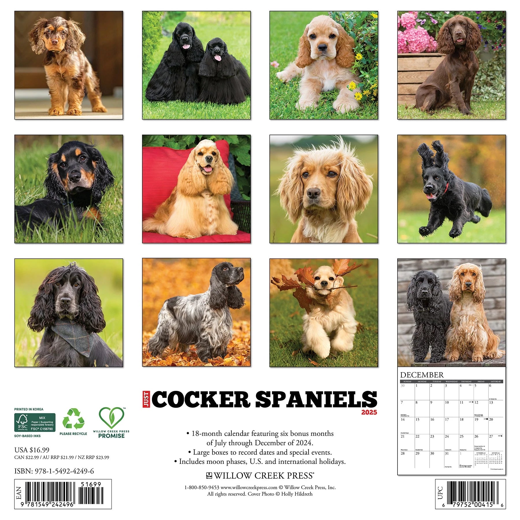 2025 Cocker Spaniels Calendar