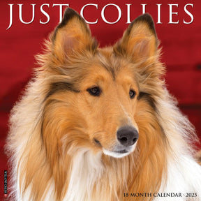 2025 Collies Spaniels Calendar