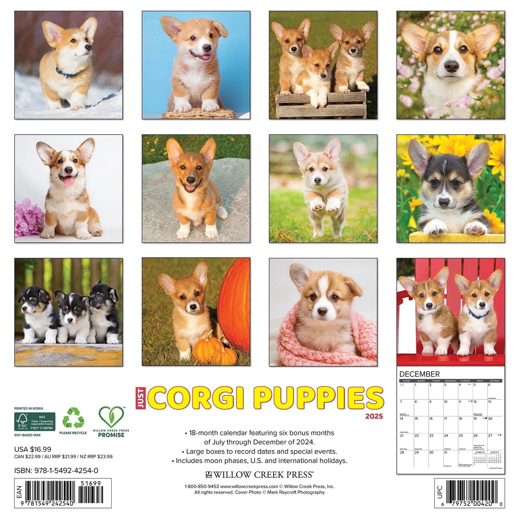 2025 Corgi Puppies Calendar