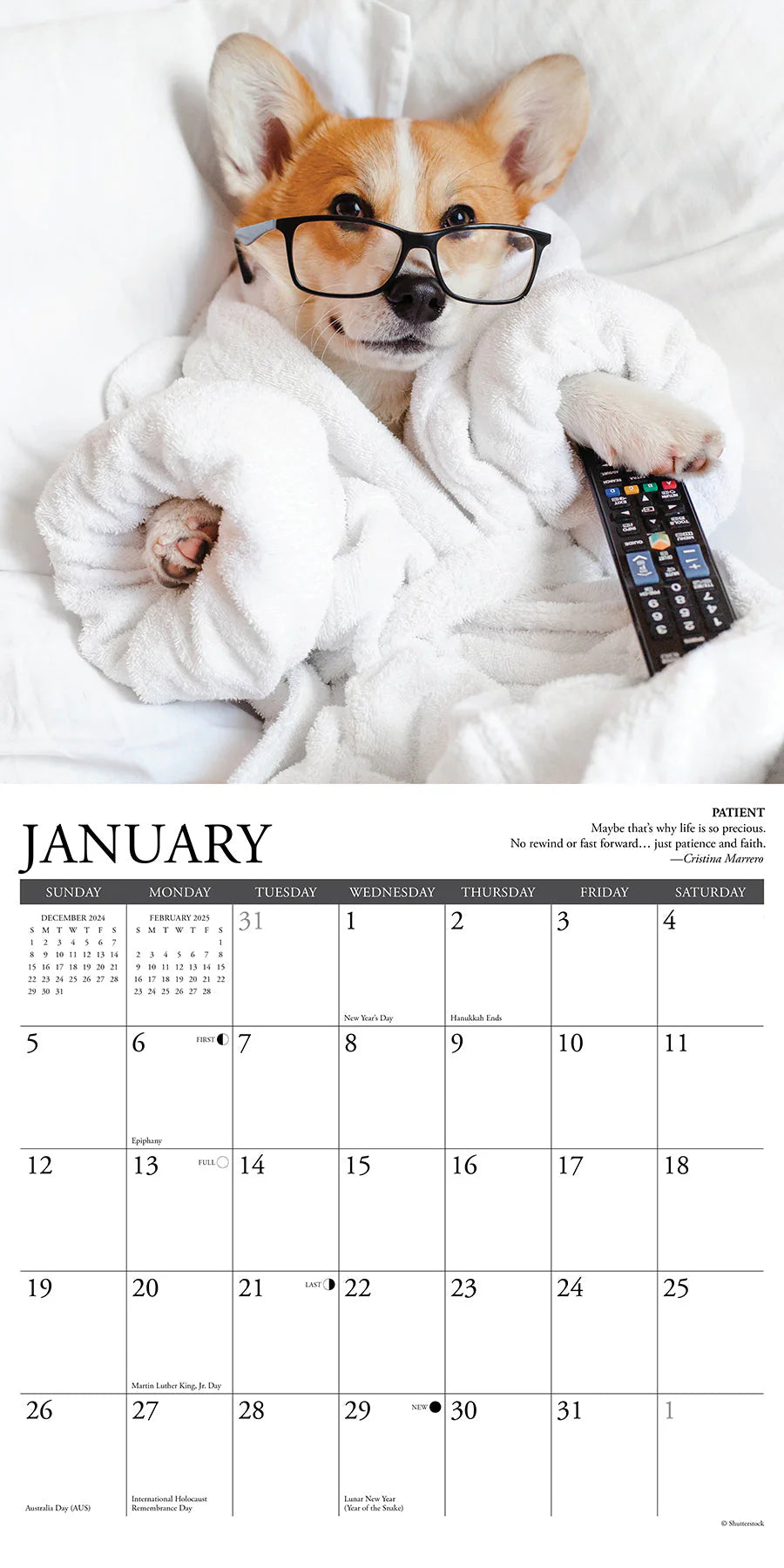 2025 Corgi Rules Calendar