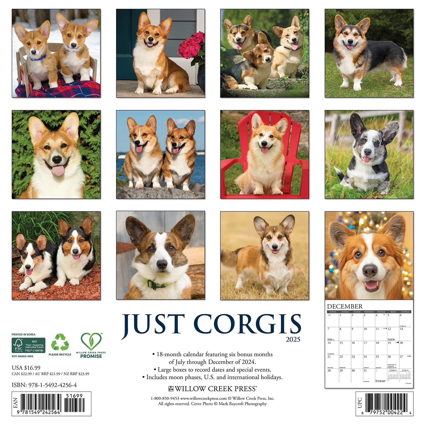 2025 Corgis Calendar