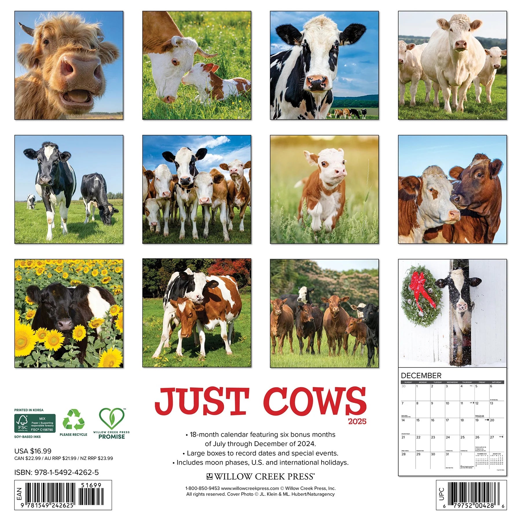 2025 Cows Calendar