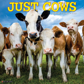 2025 Cows Calendar