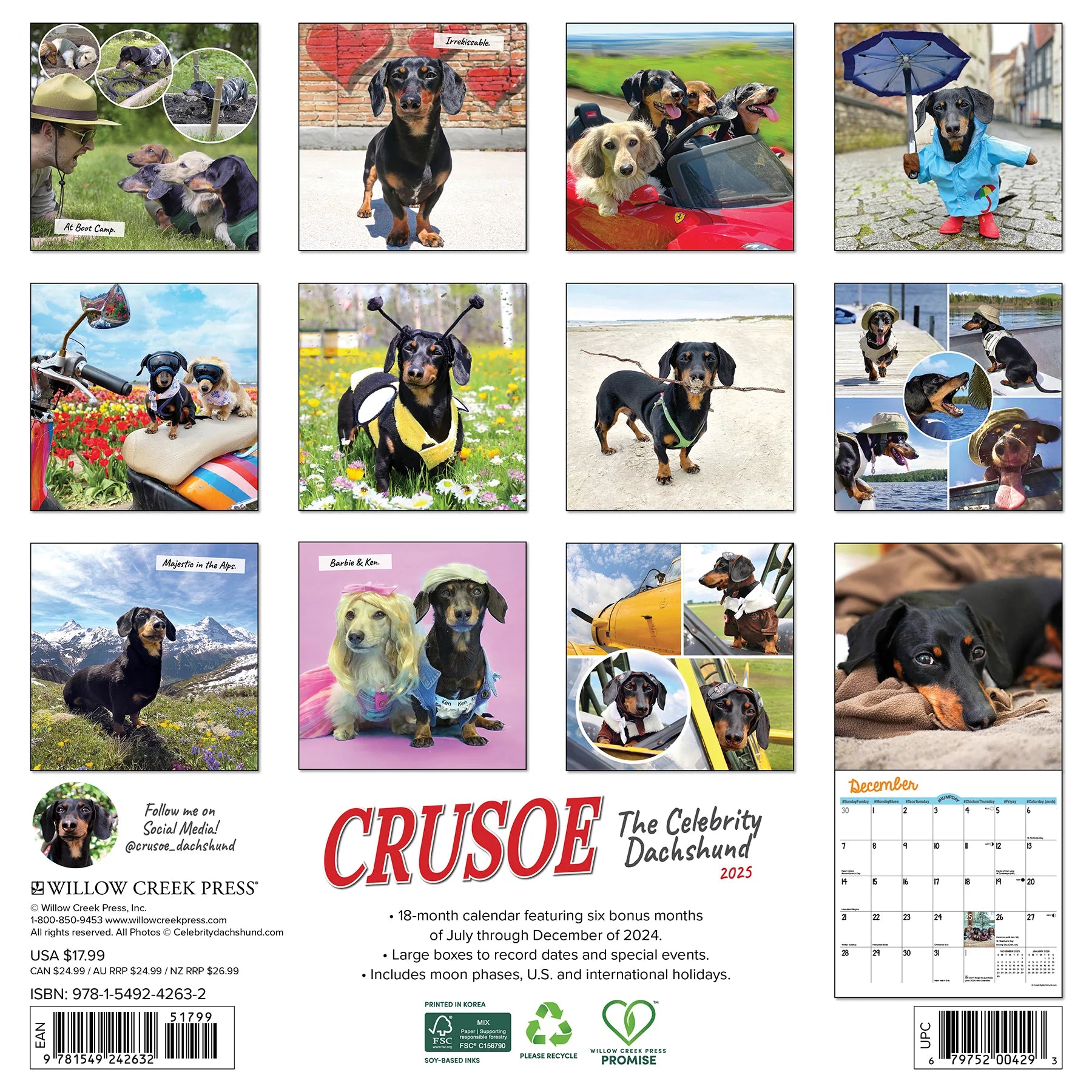 2025 Crusoe The Celebrity Dachshund Calendar