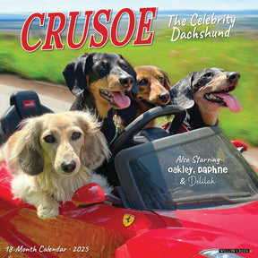 2025 Crusoe The Celebrity Dachshund Calendar