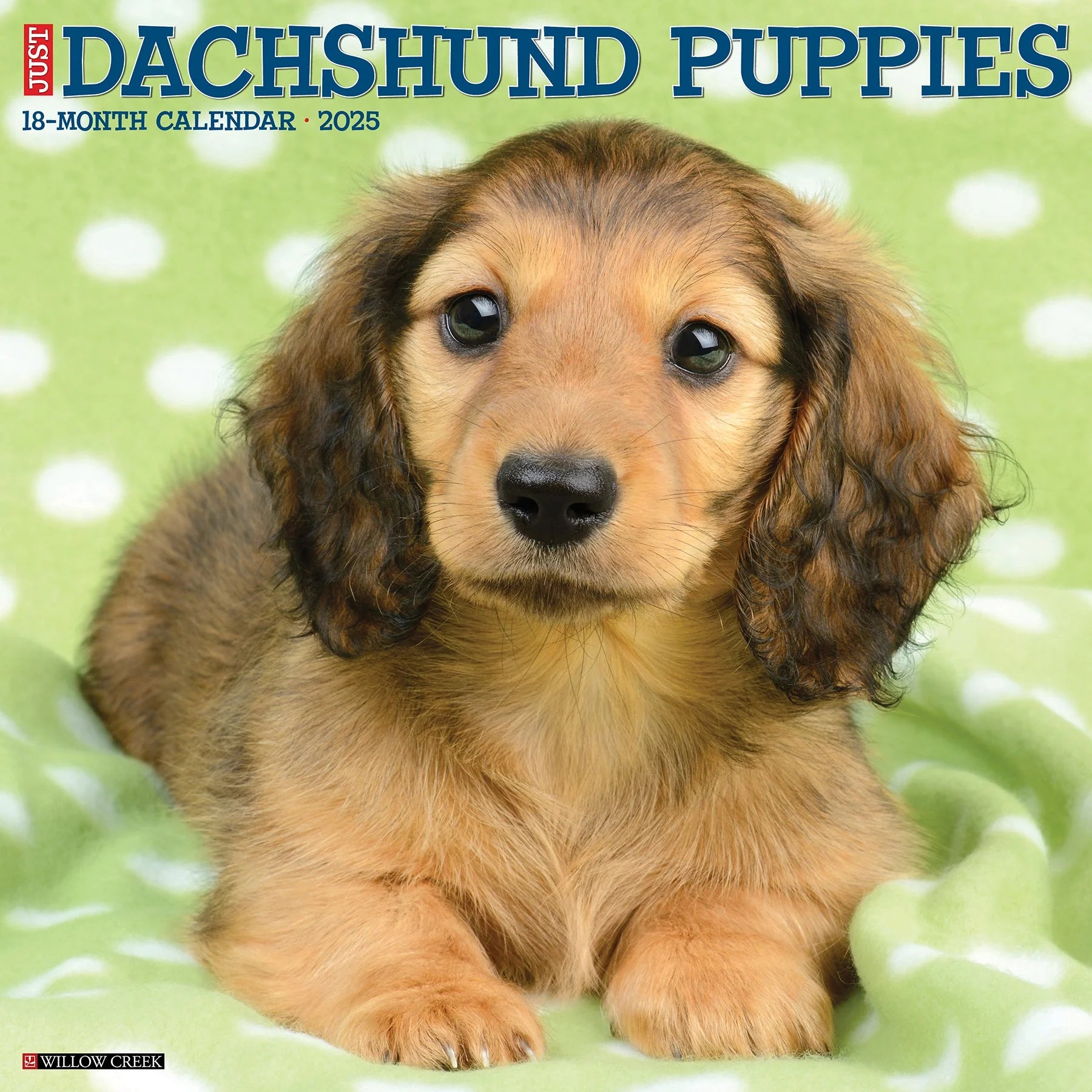 2025 Dachshund Puppies Calendar