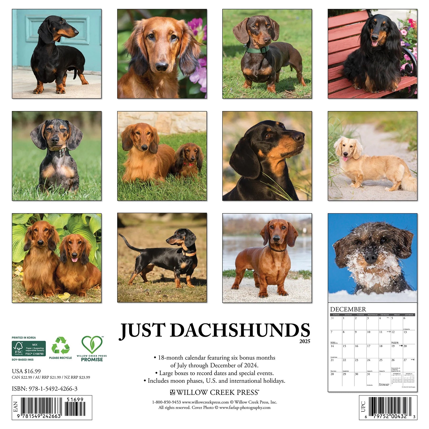 2025 Dachshunds Calendar