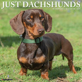 2025 Dachshunds Calendar