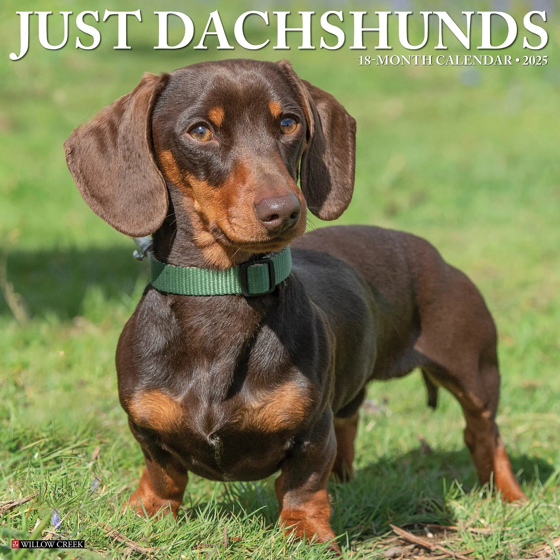 2025 Dachshunds Calendar