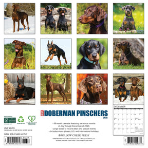 2025 Doberman Pinschers Calendar