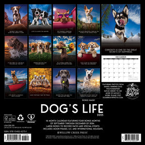 2025 Dog's Life Calendar