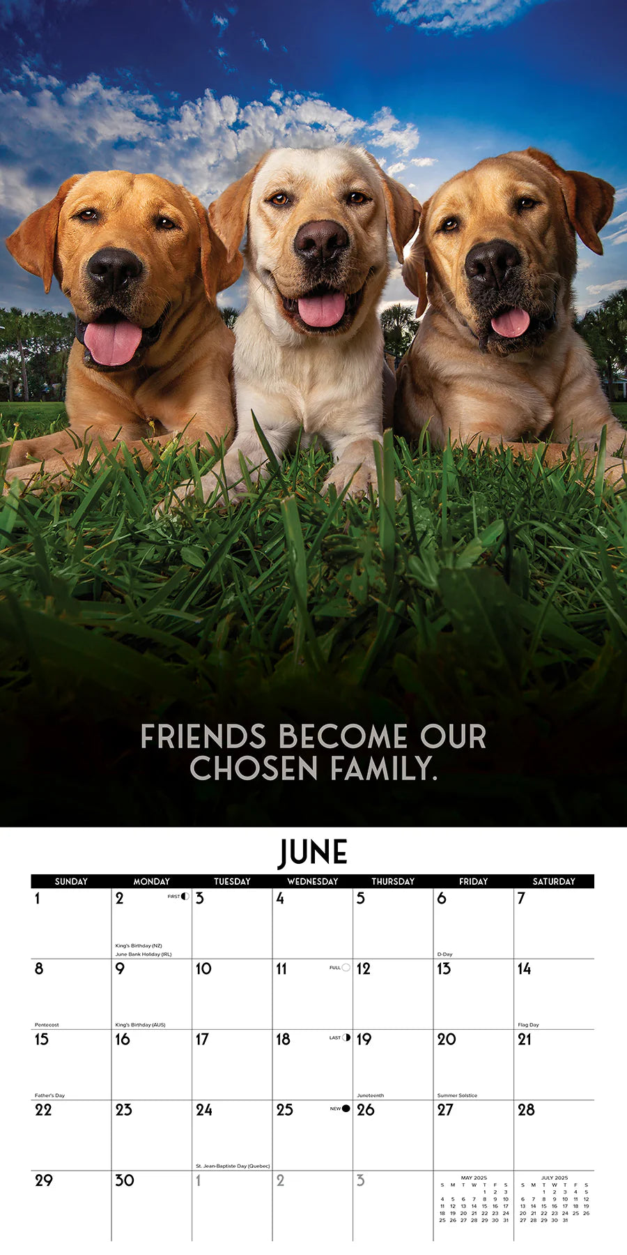 2025 Dog's Life Calendar