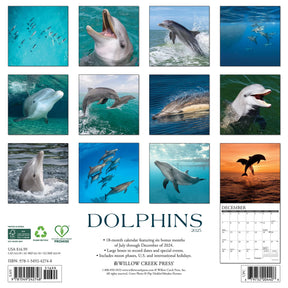 2025 Dolphins Calendar