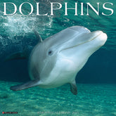 2025 Dolphins Calendar