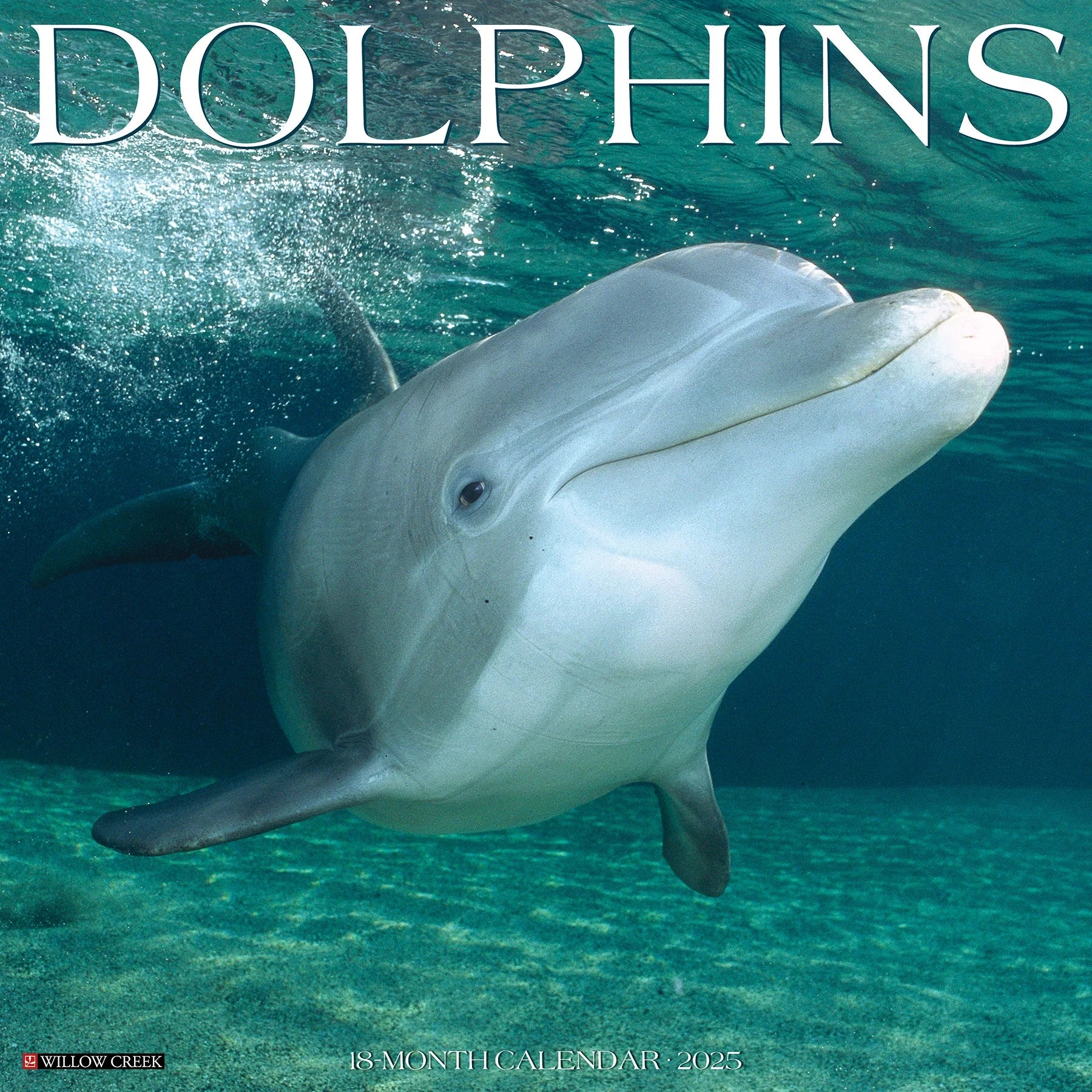 2025 Dolphins Calendar