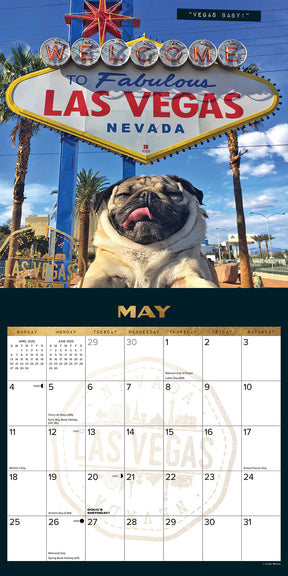 2025 Doug The Pug Calendar