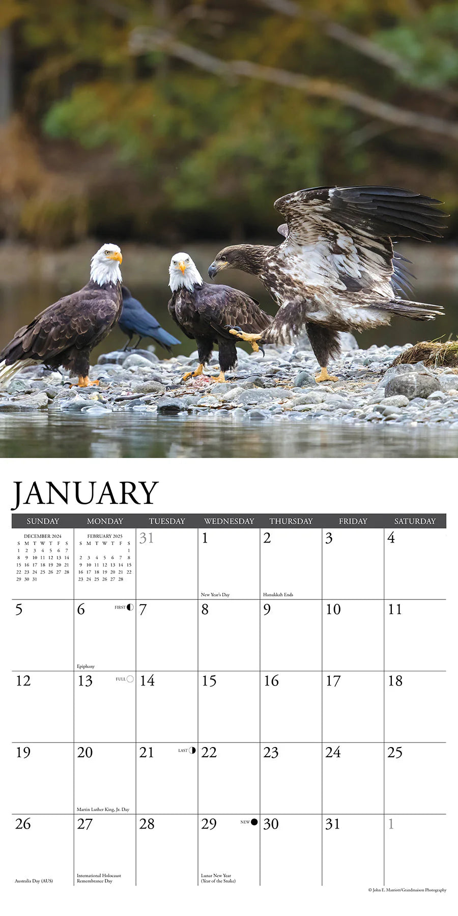 2025 Eagles Calendar