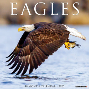 2025 Eagles Calendar