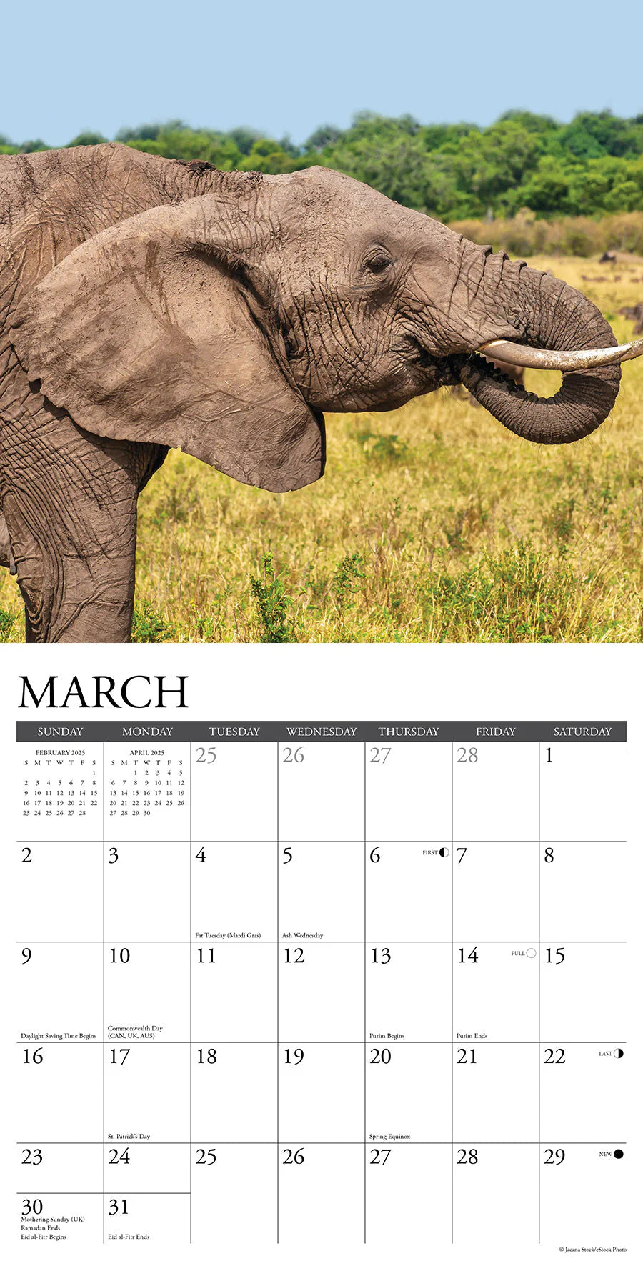 2025 Elephants Calendar