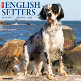 2025 English Setters Calendar