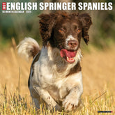 2025 English Springer Spaniels Calendar