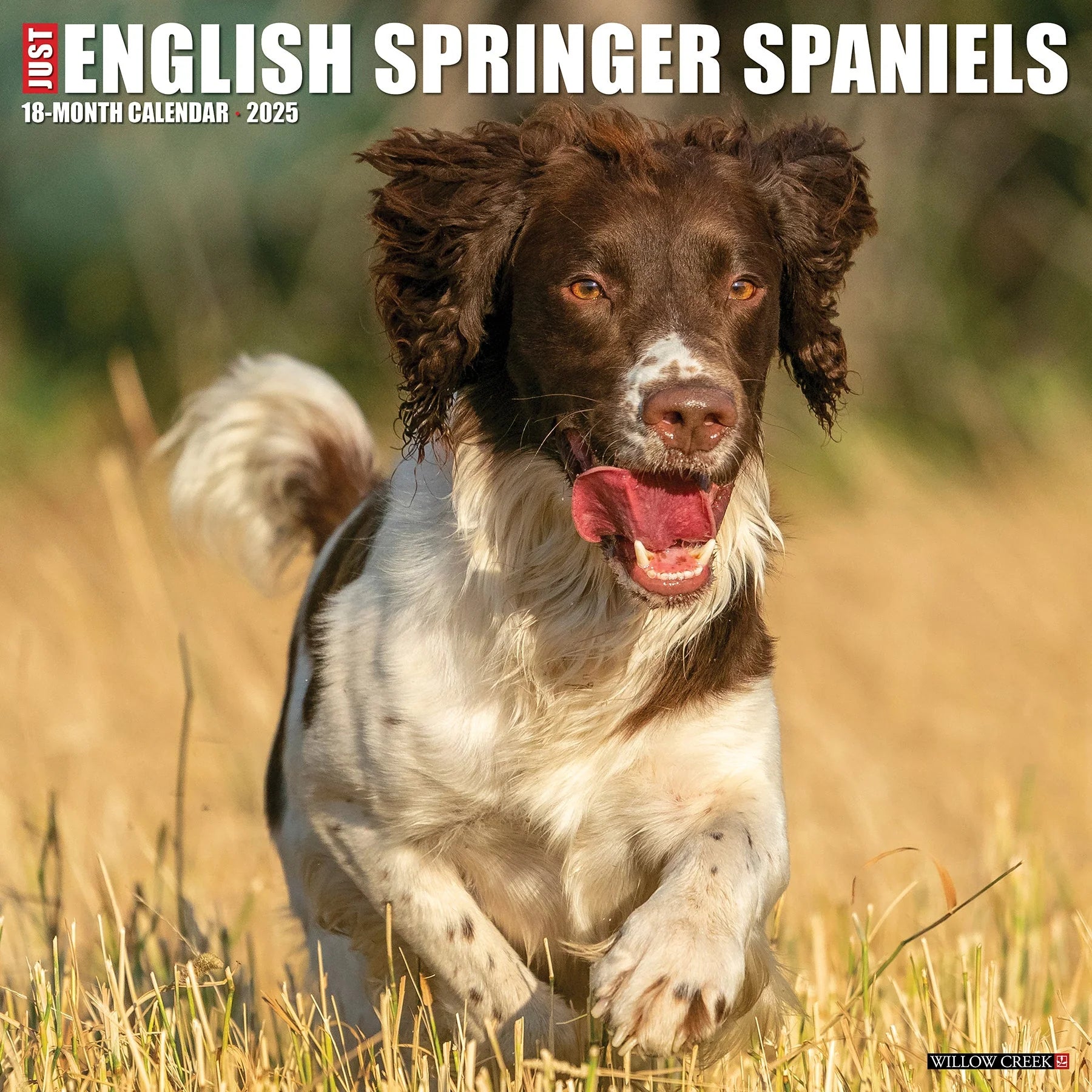 2025 English Springer Spaniels Calendar